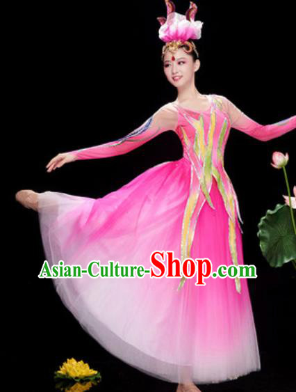 Chinese Traditional Spring Festival Gala Costume National Classical Dance Rosy Veil Dress for Women