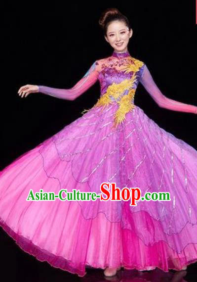 Chinese Traditional Spring Festival Gala Opening Dance Costume Modern Dance Rosy Veil Dress for Women
