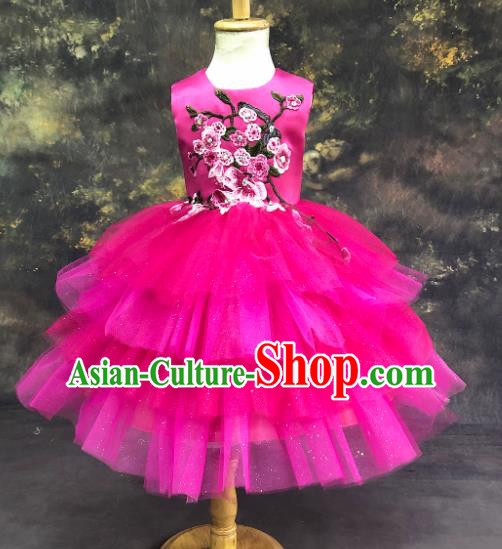 Professional Catwalks Stage Show Rosy Veil Dress Modern Fancywork Compere Court Princess Dance Costume for Kids