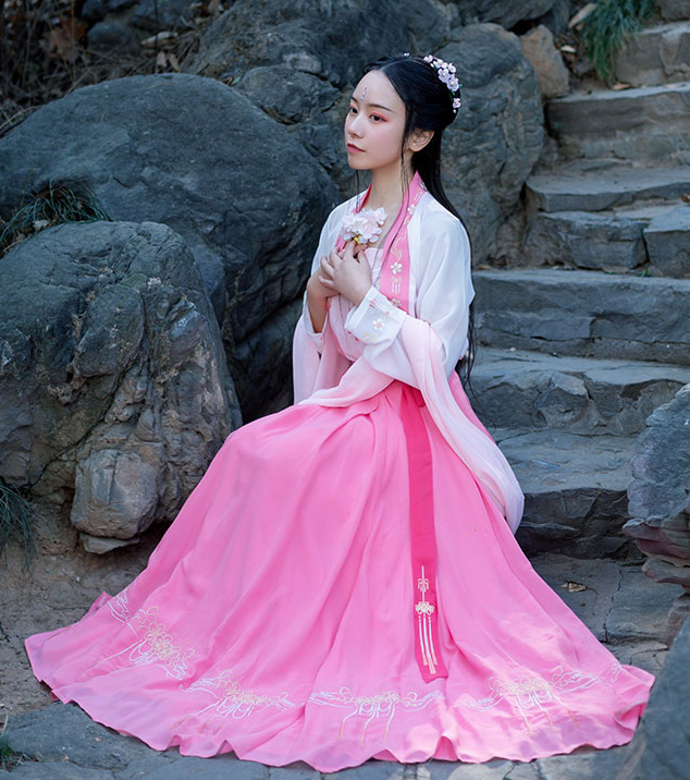 Traditional Chinese Tang Dynasty Imperial Consort Hanfu Dress Ancient Court Embroidered Historical Costume for Women