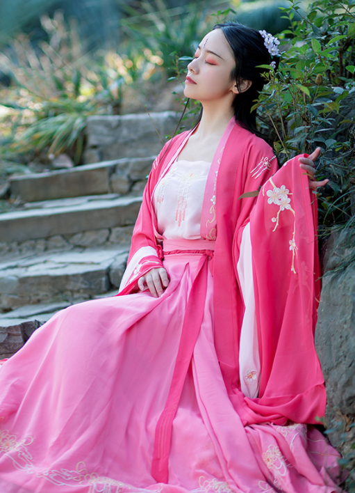 Traditional Chinese Tang Dynasty Imperial Consort Hanfu Dress Ancient Court Embroidered Historical Costume for Women