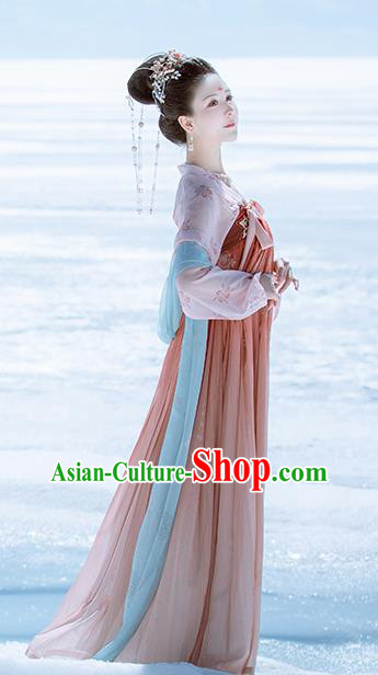 Traditional Chinese Ancient Peri Embroidered Historical Costume Tang Dynasty Imperial Consort Hanfu Dress for Women