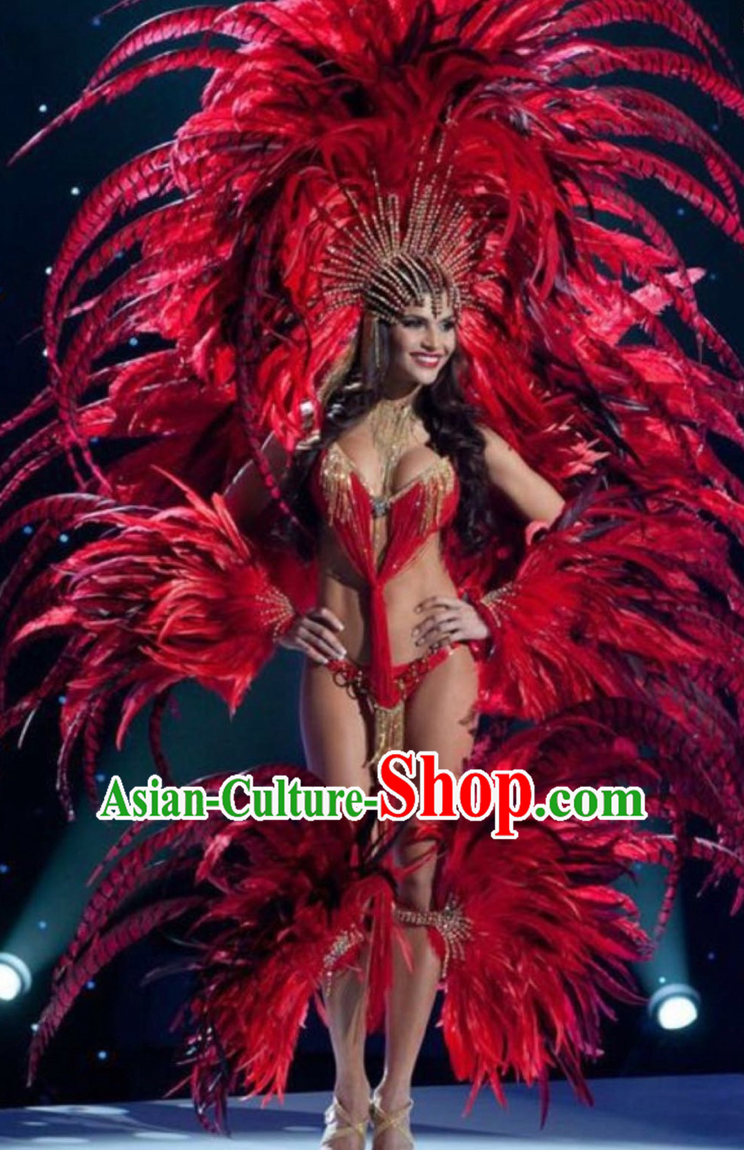 Brazilian Costumes Rio Carnival Costume Samba Dance Wear Feather Stage Costumes Complete Set