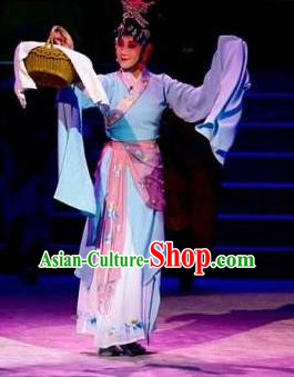 Traditional Chinese Classical Dance Bai Gujing Costume Journey to the West Dance Dress for Women