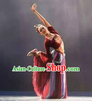 Chinese Beautiful Dance Wen Yue Costume Traditional Fan Dance Classical Dance Competition Dress for Women