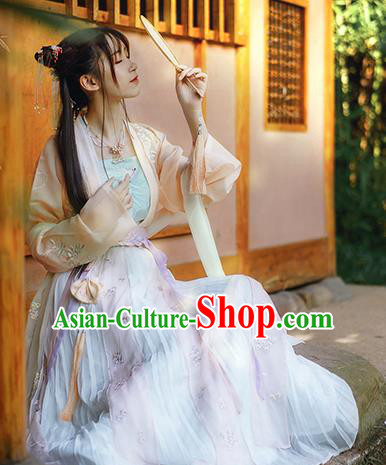 Traditional Chinese Song Dynasty Princess Hanfu Dress Ancient Court Lady Replica Costumes for Women