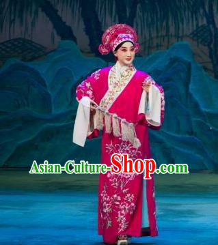 Chinese Beijing Opera Rosy Garment Butterfly Fairy Tale Apparels Xiaosheng Costumes Young Men Niche Robe and Hat