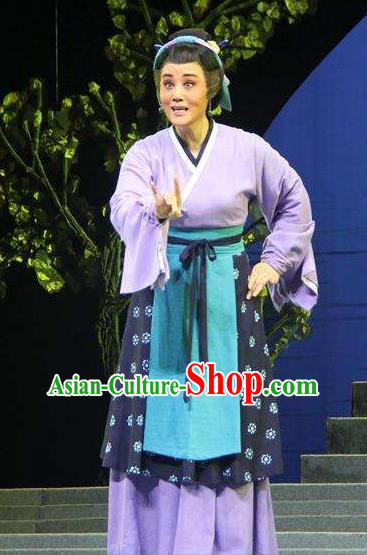 Chinese Shaoxing Opera Laodan Purple Dress Costumes and Headdress A Song of The Travelling Son Yue Opera Actress Elderly Female Garment Apparels