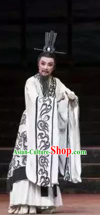 Chinese Yue Opera Official Garment Costumes and Headwear Qu Yuan Shaoxing Opera Male Role Apparels