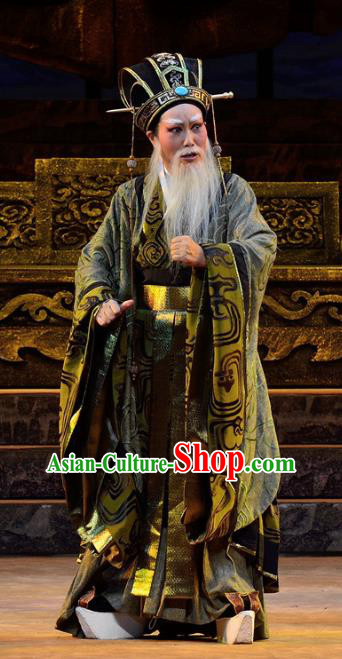 Chinese Yue Opera Elderly Male Apparels Costumes and Headwear Qu Yuan Shaoxing Opera Laosheng Official Zhang Yi Garment