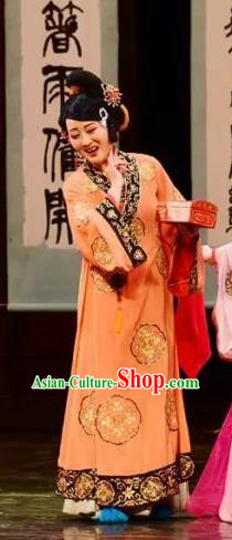 Chinese Shaoxing Opera Procuress Chen Sanliang Dress Apparels Costumes and Headpieces Yue Opera Madam Garment