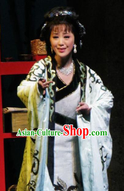 Chinese Kun Opera Actress White Hanfu Dress The Story of Pipa Peking Opera Garment Distress Maiden Zhang Wuniang Apparels Costumes and Headpieces