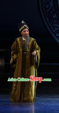 The Love of Maritime Silk Road Chinese Yue Opera Laosheng Costumes and Headwear Shaoxing Opera Garment Elderly Male Apparels