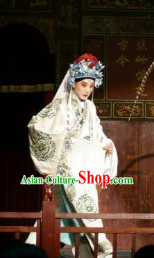 Chinese Classical Kun Opera Young Male Apparels Princess Baihua Peking Opera Garment Xiao Sheng Costumes and Headwear