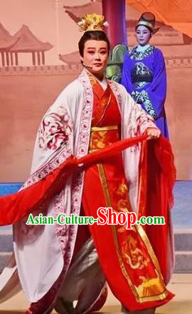Chinese Yue Opera Crown Prince Apparels and Headwear Hu Po Yuan Shaoxing Opera Xiaosheng Wedding Garment Costumes