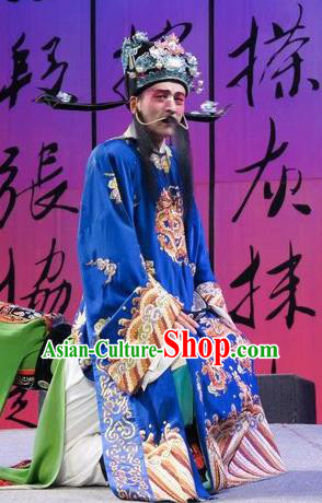 Chinese Kun Opera Elerly Male Number One Scholar Zhang Xie Garment Costumes and Headwear Kunqu Opera Official Wang Deyong Apparels Clothing