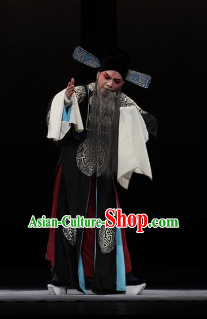 Dream of Red Mansions Chinese Kun Opera Elderly Male Jia Zheng Apparels Garment Costumes and Hat Kunqu Opera Laosheng Clothing