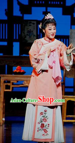 Chinese Huangmei Opera Young Mistress Li Niang Costumes Apparels and Headpieces Bu Yue Lei Chi Traditional Anhui Opera Female Dress Garment