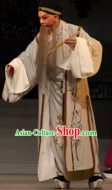 Zhu Meng Ji Chinese Kun Opera Laosheng Apparels Costumes and Headwear Kunqu Opera Garment Old Man Clothing