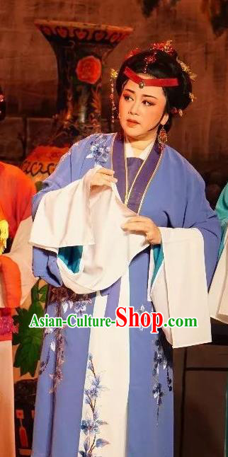 Chinese Shaoxing Opera Dame Costumes The Pearl Tower Apparels Yue Opera Garment Middle Age Female Dress and Headpieces