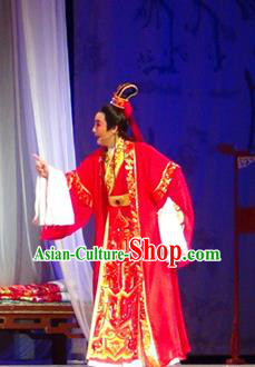 Chinese Shaoxing Opera Jiao Zhongqing Wedding Garment and Headwear Yue Opera The Peacocks Fly To The Southeast Bridegroom Apparels Costumes