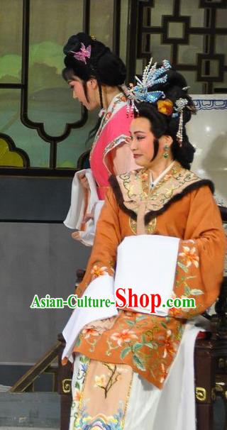 Chinese Shaoxing Opera Dream of the Red Chamber Elderly Female Dress Yue Opera Actress Costumes Dame Wang Garment Apparels and Hair Ornaments