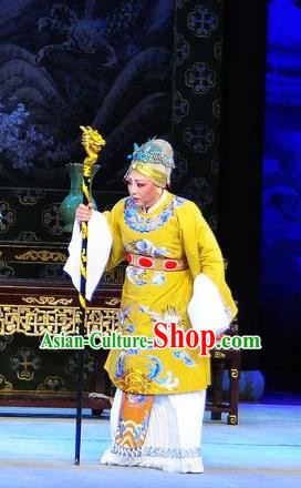 Chinese Shaoxing Opera Dowager Countess Dream of the Red Chamber Dress Yue Opera Costumes Garment Elderly Dame Jia Apparels and Headwear