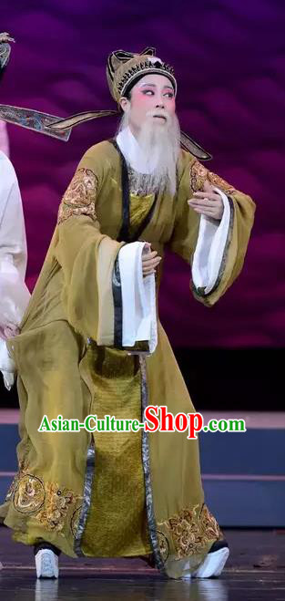 Chinese Yue Opera Elderly Male Apparels The Story of Hairpin Garment Shaoxing Opera Official Costumes and Hat