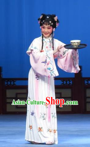 Chinese Ping Opera Young Lady Costumes Apparels and Headpieces Xue Yu Bing Shuang Traditional Pingju Opera Diva Ai Yu Dress Garment