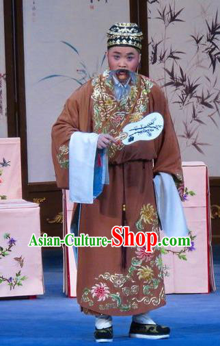 Flower a Matchmaker Chinese Ping Opera Laosheng Costumes Pingju Opera Elderly Male Li Maolin Apparels Clothing and Hat