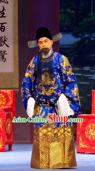 Nao Yan Fu Chinese Ping Opera Elderly Male Costumes and Headwear Pingju Opera Laosheng Apparels Official Clothing