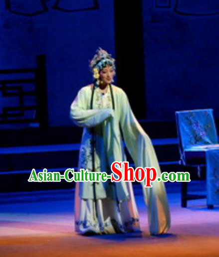 Chinese Shaoxing Opera Hua Dan Water Sleeve Dress Garment A Tragic Marriage Yue Opera Actress Costumes Wang Lianjuan Apparels and Hair Accessories