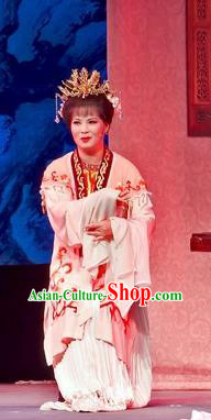 Chinese Shaoxing Opera Young Mistress Apparels Flirting Scholar Costumes Yue Opera Maidservant Dress Garment and Headpieces
