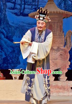 Chinese Yue Opera Old Male Costumes Flirting Scholar Garment Shaoxing Opera Man Role Imperial Tutor Hua Apparels and Headwear