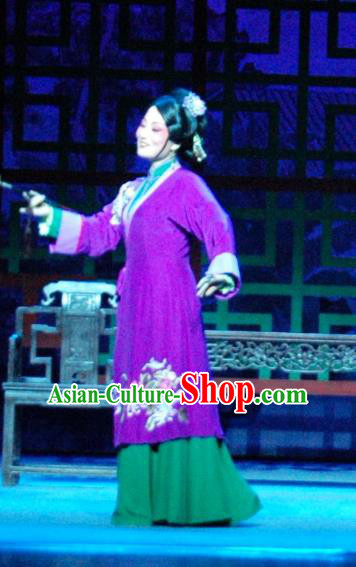Chinese Shaoxing Opera Noble Consort Purple Dress and Headpieces Yue Opera Costume Tan Chun Concubine Zhao Apparels Garment
