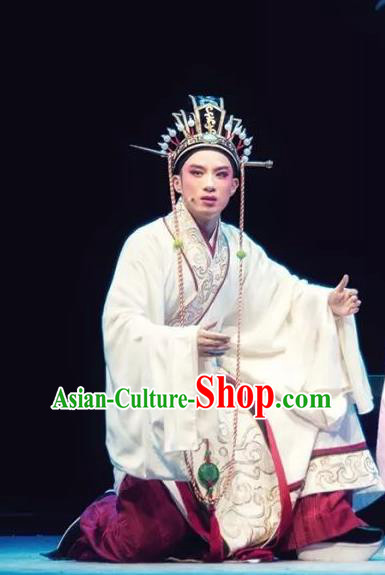 Changle Palace Chinese Yue Opera Young Male Apparels Costumes and Headwear Shaoxing Opera Xiaosheng Song Hong Garment Official Robe