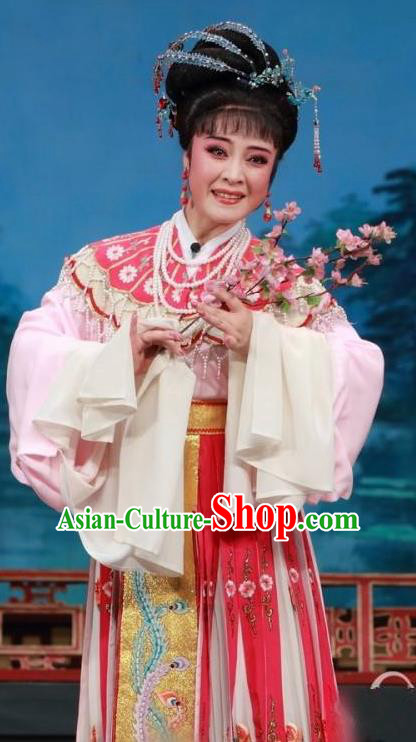 Chinese Shaoxing Opera Hua Tan Costumes and Headpieces Yue Opera San Kan Yu Mei Princess Liu Jinding Garment Apparels Clothing