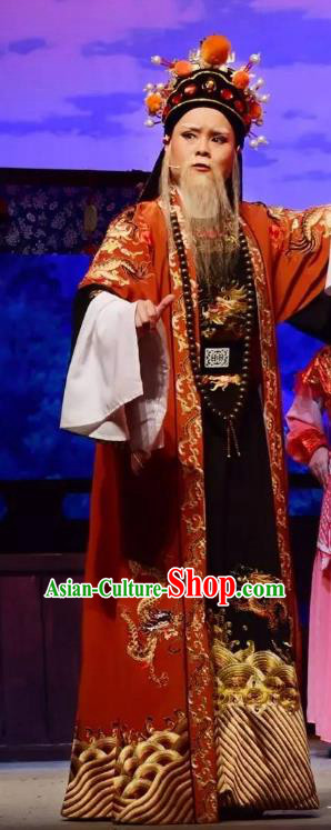 Li Mei Yue Chinese Yue Opera Elderly Male Clothing and Hat Shaoxing Opera Garment Laosheng Official Apparels Costumes