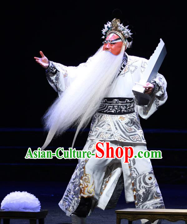 Chun Qiu Er Xu Chinese Peking Opera Laosheng Garment Costumes and Headwear Beijing Opera Elderly Male Apparels Elderly Official Wu Zixu Clothing