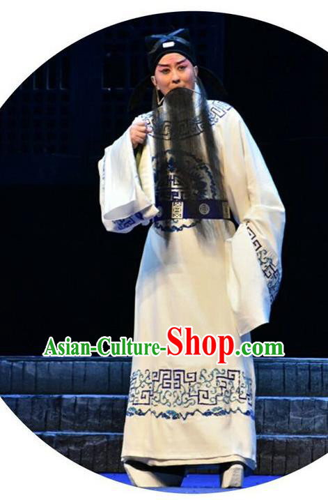 Qing Tian Dao Chinese Peking Opera Laosheng Garment Costumes and Headwear Beijing Opera Loyal Official Hai Rui Apparels Clothing
