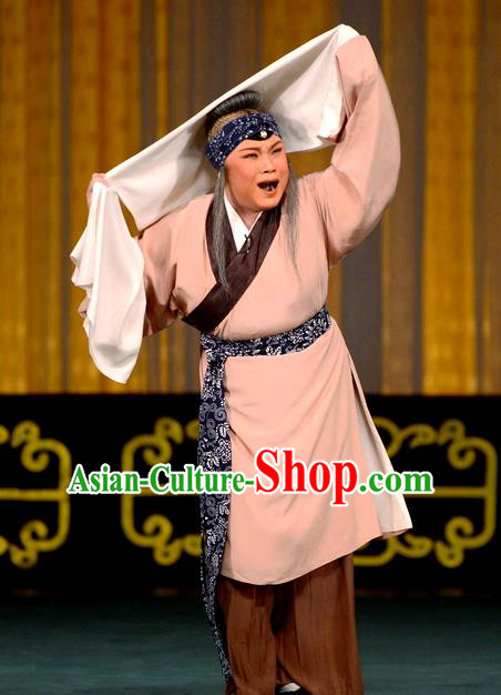 Chinese Beijing Opera Elderly Female Apparels Ba Zhen Tang Costumes and Headpieces Traditional Peking Opera Laodan Dress Old Woman Sun Shulin Garment
