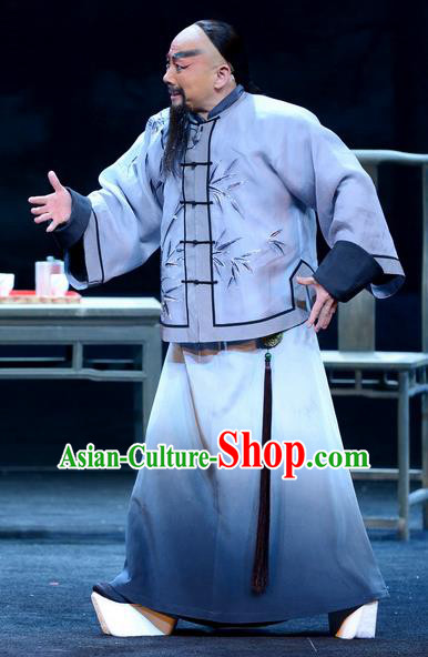 Imperial Envoy Chinese Peking Opera Laosheng Lin Zexu Garment Costumes and Headwear Beijing Opera Elderly Male Apparels Qing Dynasty Clothing