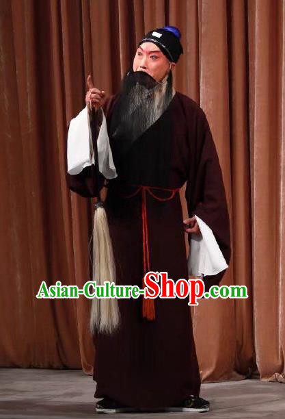 Xing Han Tu Chinese Peking Opera Scholar Zhang Cang Garment Costumes and Headwear Beijing Opera Laosheng Apparels Old Man Clothing