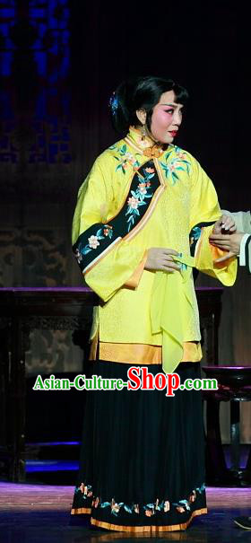Chinese Beijing Opera Rich Mistress Rui Jue Garment Luo Mei Yin Costumes and Hair Accessories Traditional Peking Opera Young Female Dress Actress Apparels