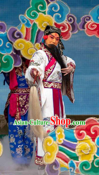 The Eight Immortals Crossing the Sea Chinese Peking Opera Elderly Male Apparels Costumes and Headpieces Beijing Opera Taoist Priest Lv Dongbin Garment Clothing
