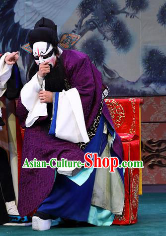 Zeng Ti Pao Chinese Peking Opera Treacherous Official Xu Jia Apparels Costumes and Headpieces Beijing Opera Painted Role Garment Clothing