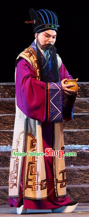 King of Qi Tian Heng Chinese Peking Opera Laosheng Apparels Costumes and Headpieces Beijing Opera Old Man Garment Swordsman Clothing