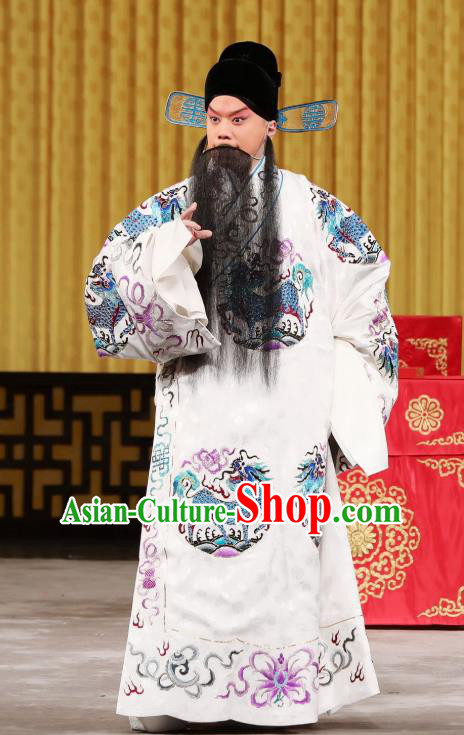 Yi Peng Xue Chinese Peking Opera Elderly Male Apparels Costumes and Headpieces Beijing Opera Laosheng Garment Official Mo Huaigu Clothing