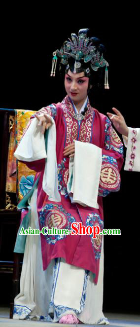 Chinese Sichuan Opera Rich Lady Jia Yingying Garment Servant Girl Yan Yan Costumes and Hair Accessories Traditional Peking Opera Hua Tan Dress Actress Apparels