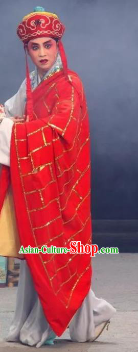 The Legend of White Snake Chinese Sichuan Opera Monk Xu Xian Apparels Costumes and Headpieces Peking Opera Xiaosheng Garment Young Male Clothing